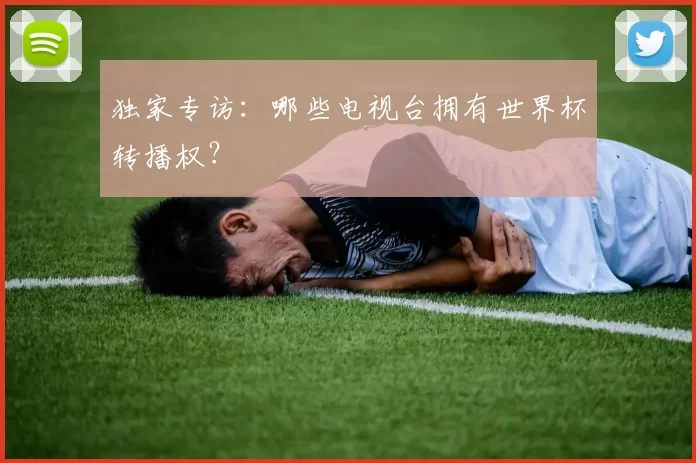 独家专访:哪些电视台拥有世界杯转播权?