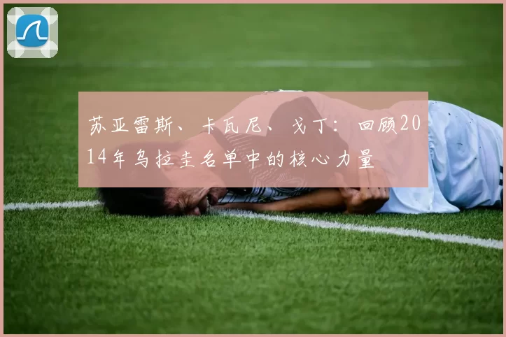 苏亚雷斯、卡瓦尼、戈丁：回顾2014年乌拉圭名单中的核心力量