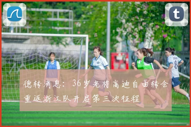 德转消息:36岁老将高迪自由转会重返浙江队开启第三次征程