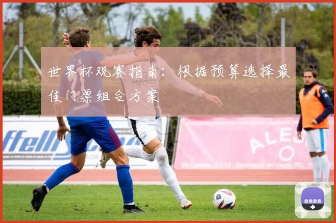 世界杯观赛指南:根据预算选择最佳门票组合方案