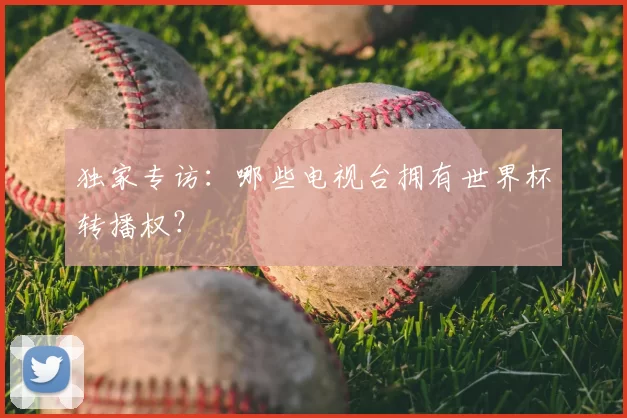 独家专访:哪些电视台拥有世界杯转播权?