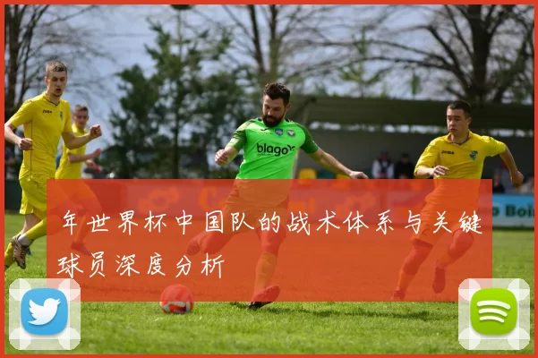 年世界杯中国队的战术体系与关键球员深度分析