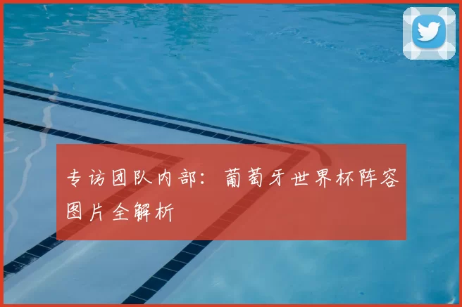 专访团队内部:葡萄牙世界杯阵容图片全解析