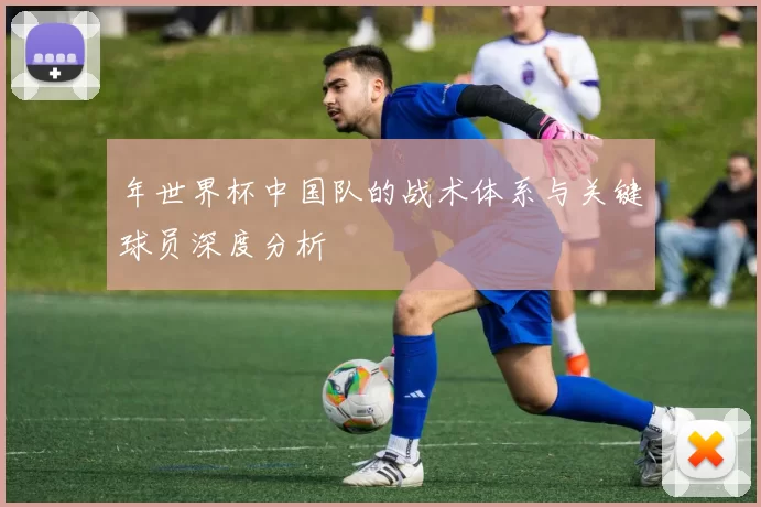 年世界杯中国队的战术体系与关键球员深度分析