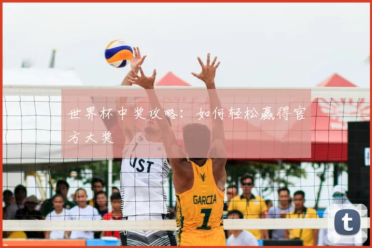 世界杯中奖攻略：如何轻松赢得官方大奖