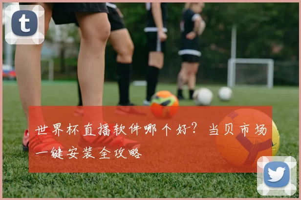 世界杯直播软件哪个好?当贝市场一键安装全攻略