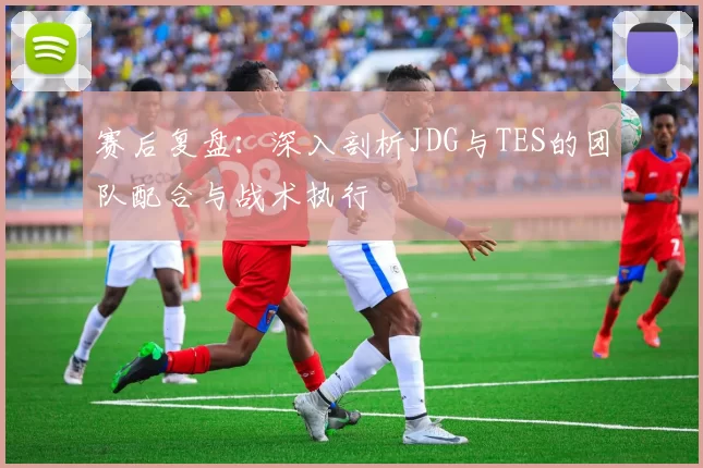 赛后复盘：深入剖析JDG与TES的团队配合与战术执行