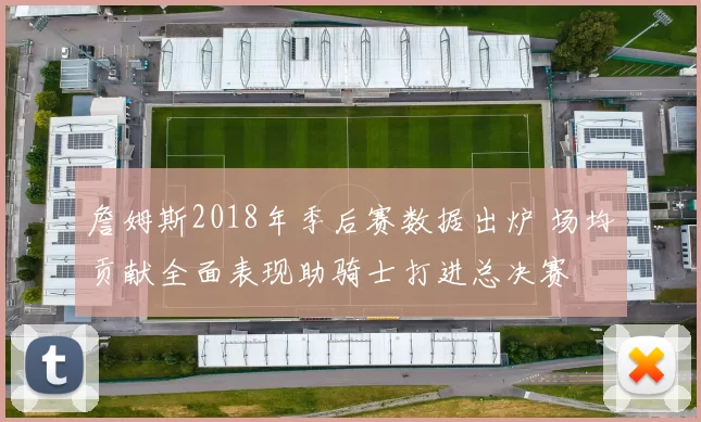 詹姆斯2018年季后赛数据出炉 场均贡献全面表现助骑士打进总决赛